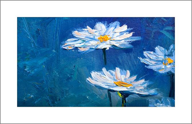 Купить и печать на заказ Картины, фото с паспарту Ромашки в саду