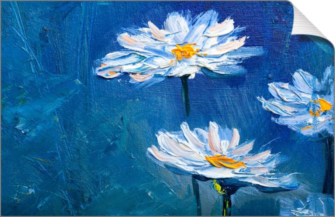 Paintings on canvas Daisies in the garden