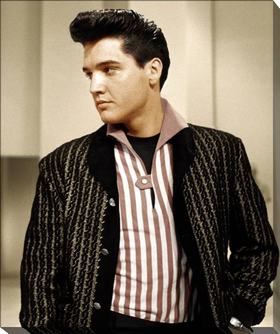 Картины на холсте Elvis Presley