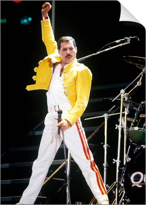 Купить и печать на заказ Картины на холсте Выступление Фредди Меркьюри