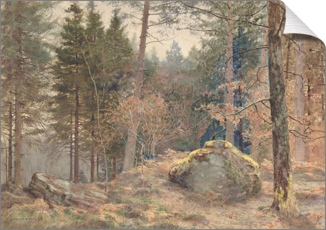 Paintings on canvas Pine forest, watercolor (James Thomas watts)