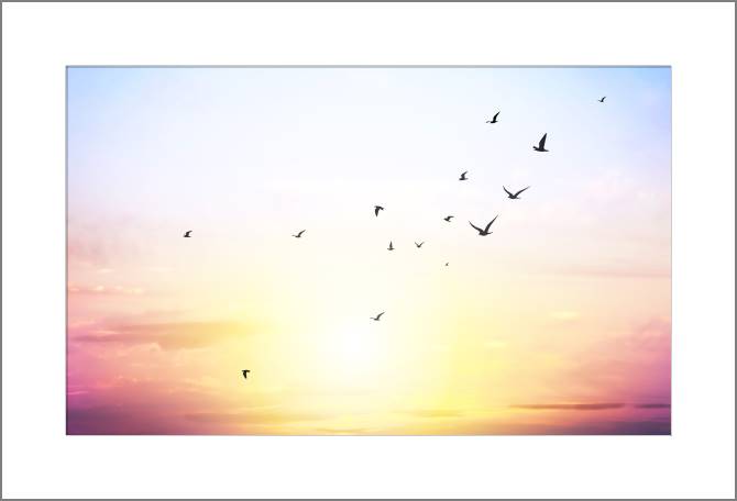 Купить и печать на заказ Картины, фото с паспарту Розовое небо и птицы