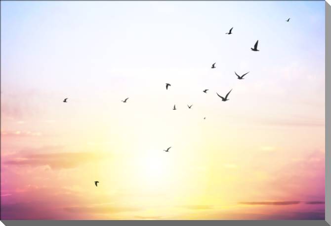 Картины на пластике, пеноркартоне The pink sky and the birds