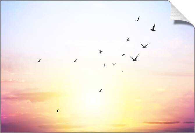 Купить и печать на заказ Картины на холсте Розовое небо и птицы