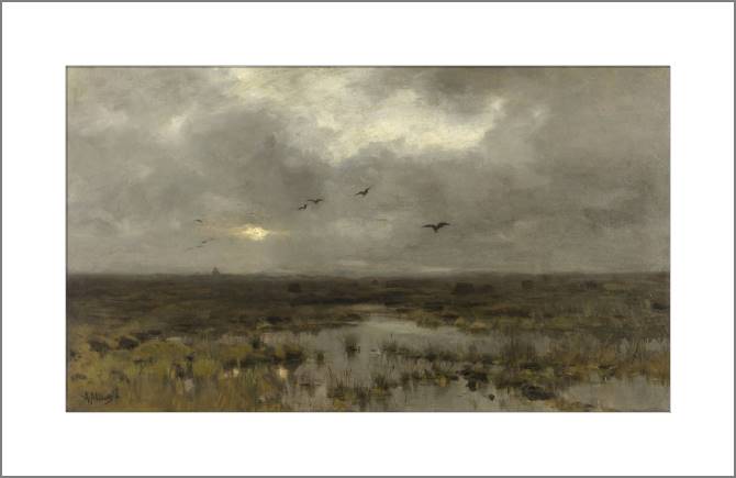 Купить и печать на заказ Картины, фото с паспарту Болото