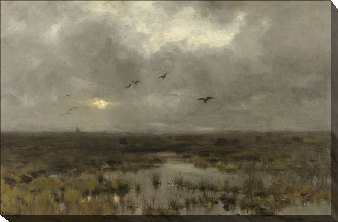 Paintings on canvas Swamp (Anton Mauve)