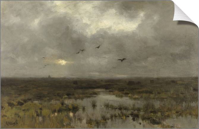 Купить и печать на заказ Картины на холсте Болото