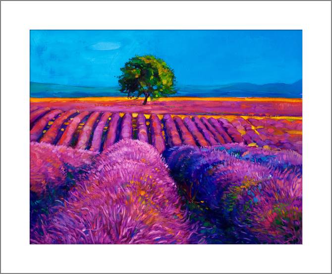 Купить и печать на заказ Картины, фото с паспарту Лавандовое поле