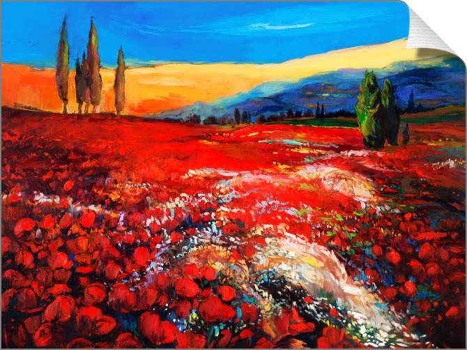 Paintings on canvas Bright field of poppies