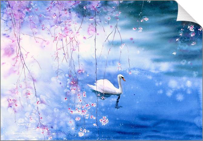 Купить и печать на заказ Картины на холсте Лебедь на озере с цветущей вишней