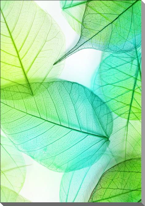 Paintings on plastic, foam cardboard Series green leaf macro съемка_1