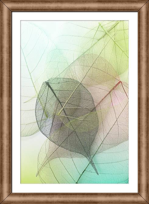Картины в рамке, багете Series green leaf macro съемка_3