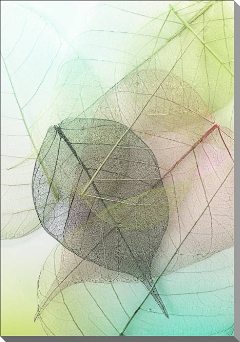 Paintings on plastic, foam cardboard Series green leaf macro съемка_3