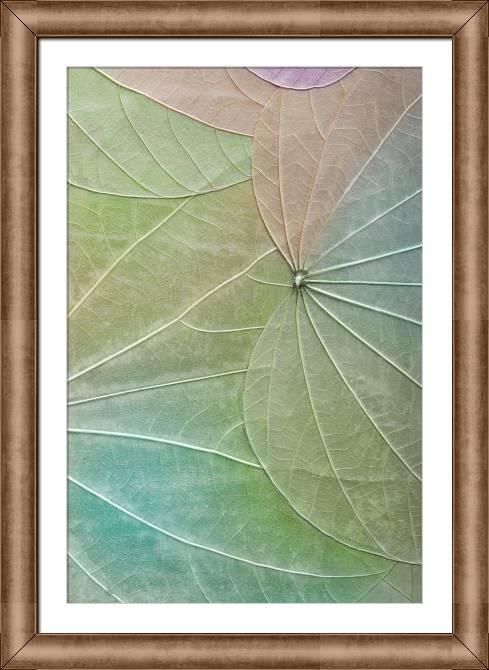 Картины в рамке, багете Series green leaf macro съемка_4