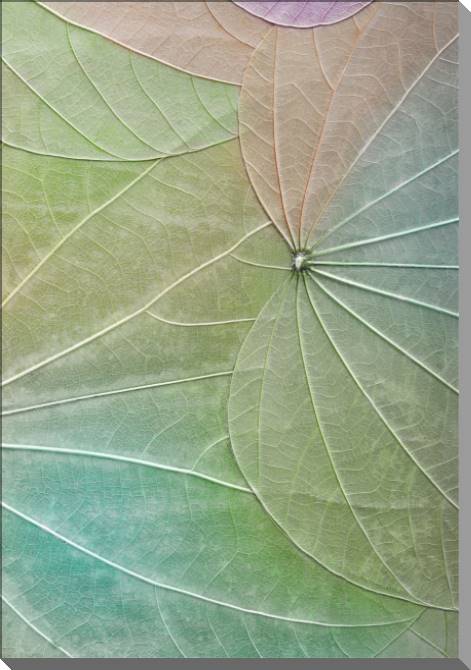 Paintings on plastic, foam cardboard Series green leaf macro съемка_4