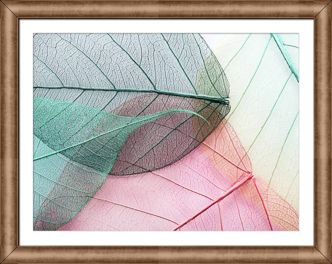 Картины в рамке, багете Series green leaf macro съемка_6