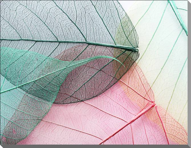 Paintings on plastic, foam cardboard Series green leaf macro съемка_6