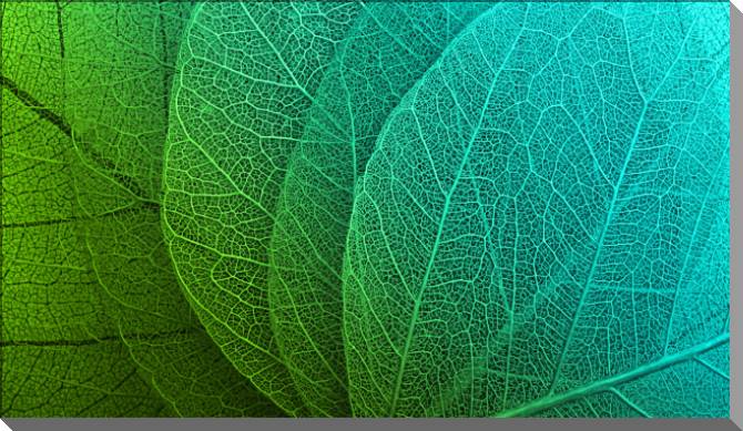 Paintings on plastic, foam cardboard Series green leaf macro съемка_7