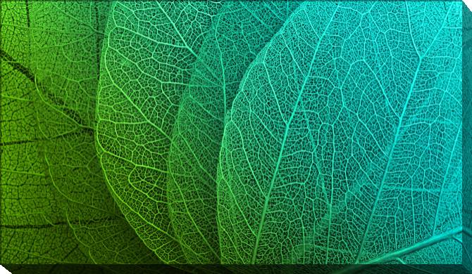 Paintings on canvas Series green leaf macro съемка_7