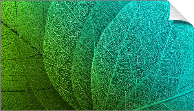 Купить и печать на заказ Картины на холсте Серия зеленый лист макро съемка 7