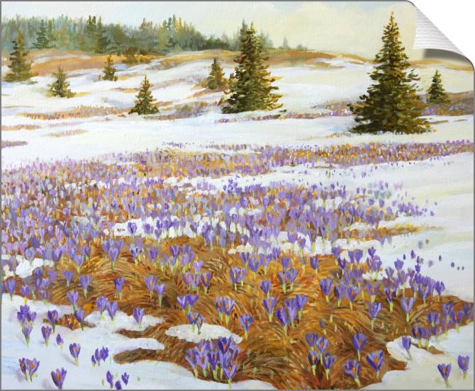 Купить и печать на заказ Картины на холсте Крокусы