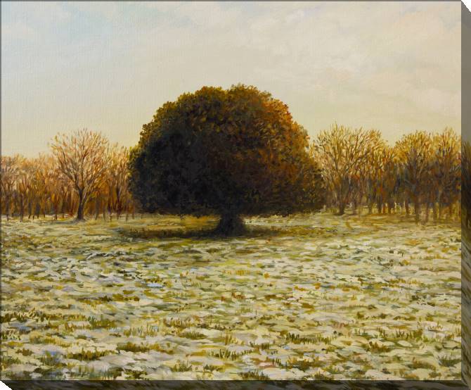 Paintings on canvas Series the landscape in warm тонах_2