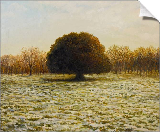 Купить и печать на заказ Картины на холсте Одинокий дуб