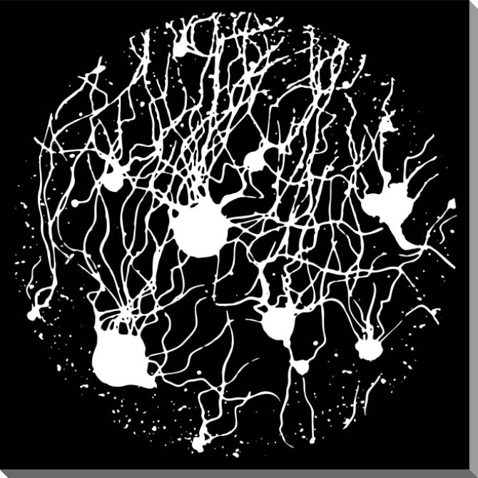 Paintings on plastic, foam cardboard Black-and-white abstraction squirt