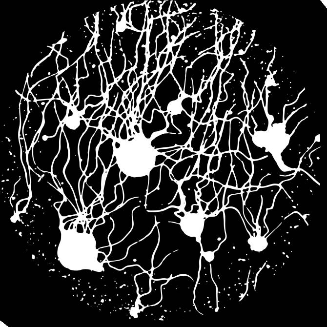 Paintings on canvas Black-and-white abstraction squirt