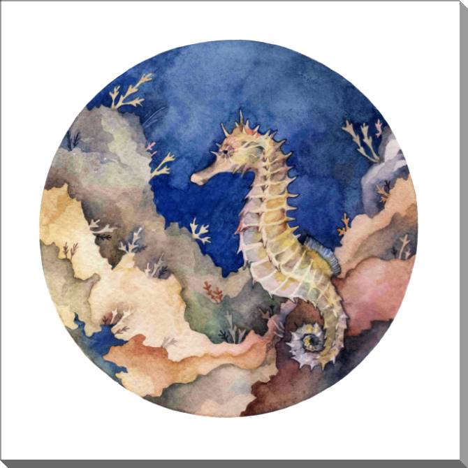 Paintings on plastic, foam cardboard Sea horse watercolor