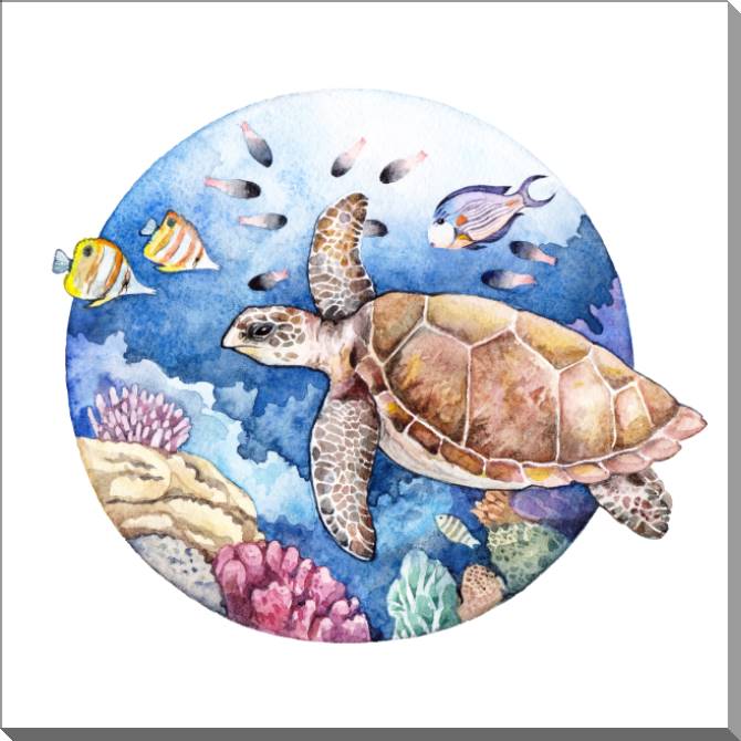 Paintings on plastic, foam cardboard Sea turtle watercolor