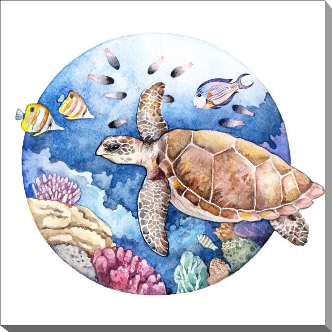Paintings on canvas Sea turtle watercolor