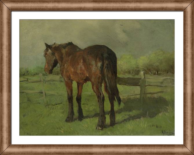 Купить и печать на заказ Картины в рамке, багете Лошадь
