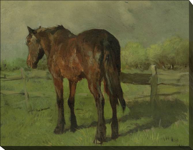 Paintings on canvas Horse (Anton Mauve)