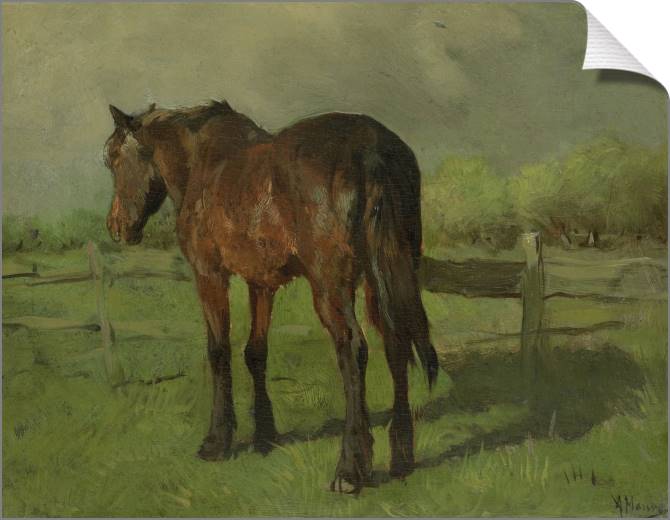 Купить и печать на заказ Картины на холсте Лошадь