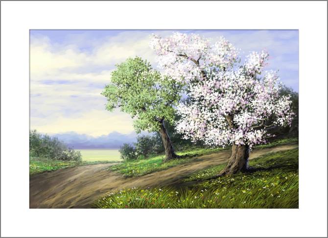 Купить и печать на заказ Картины, фото с паспарту Цветущее дерево у тропы