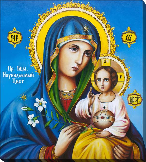 Paintings on canvas Icon Unfading Blossom