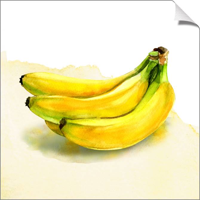 Купить и печать на заказ Картины на холсте Бананы акварель