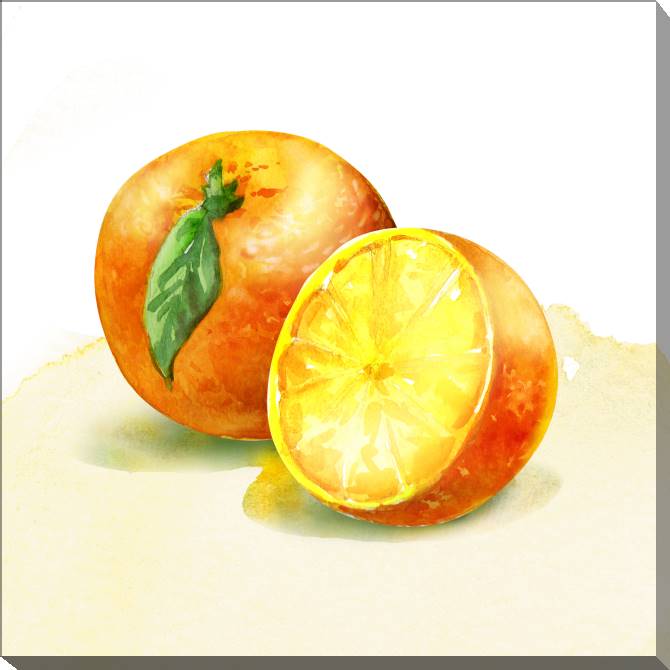 Купить и печать на заказ Картины на холсте Апельсины акварель