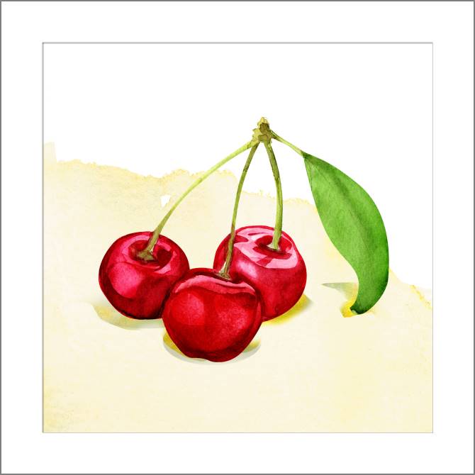 Картины, фото с паспарту Series fruit акварель_8