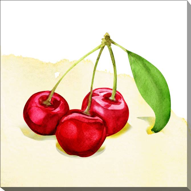 Купить и печать на заказ Картины на холсте Вишня акварель