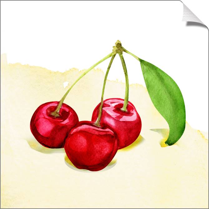 Купить и печать на заказ Картины на холсте Вишня акварель