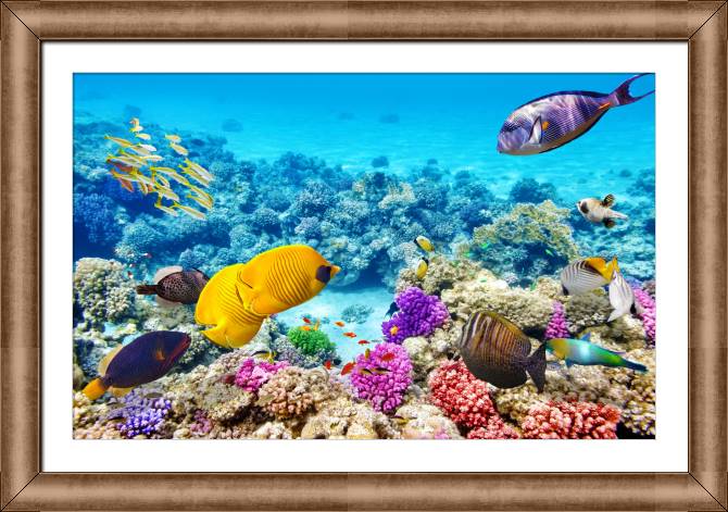 Купить и печать на заказ Репродукции картин Подводный мир с рыбками и кораллами