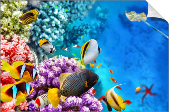 Купить и печать на заказ Картины на холсте Коралловый риф с рыбками