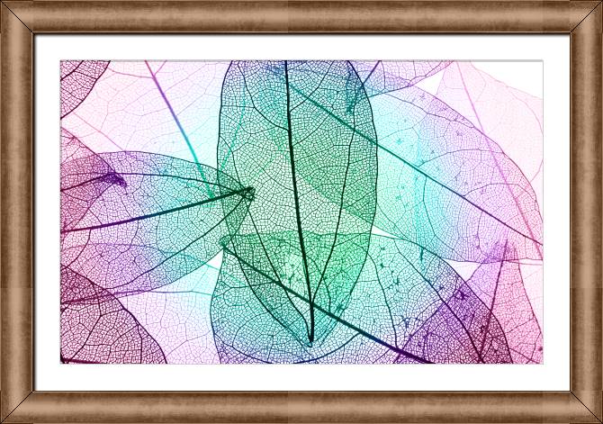 Картины в рамке, багете The structure of the leaves