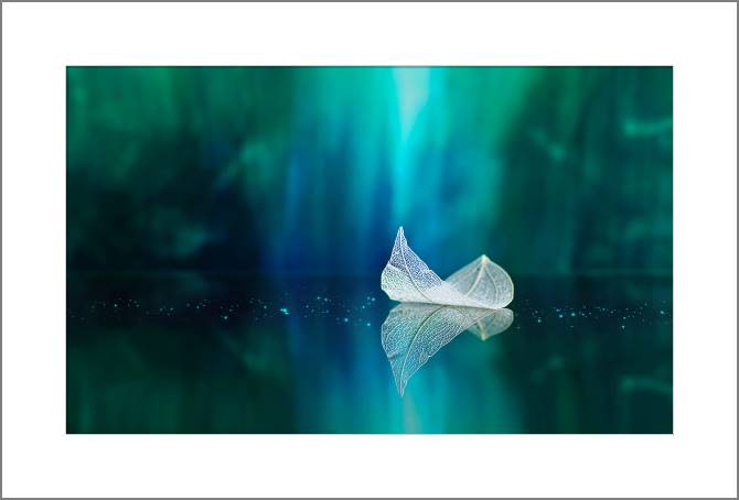 Купить и печать на заказ Картины, фото с паспарту Белый лист на зеркальной поверхности