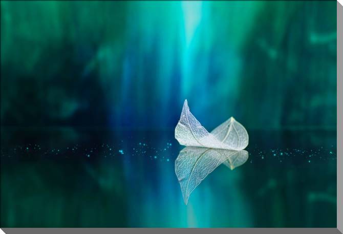 Картины на пластике, пеноркартоне White sheet on the mirror surface