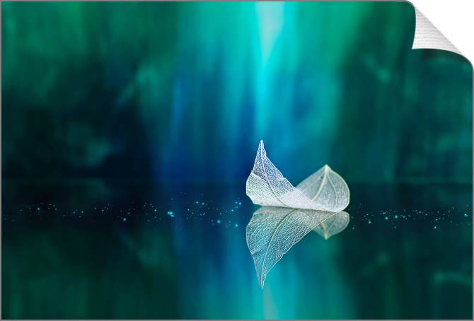 Купить и печать на заказ Картины на холсте Белый лист на зеркальной поверхности