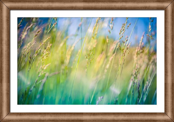 Картины в рамке, багете Nature meadows