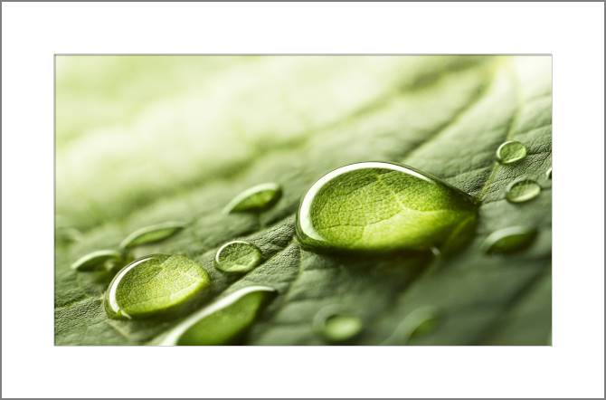 Купить и печать на заказ Картины, фото с паспарту Капли на листе крупный план